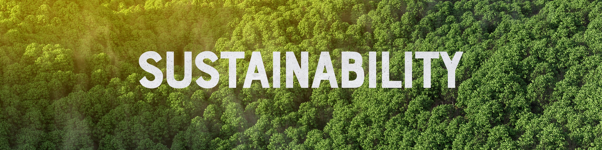 Sustainability